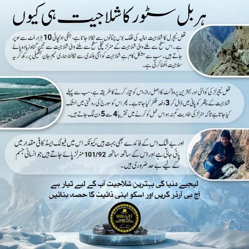 Himaliyan Shilajit (شلاجیت) 50gm